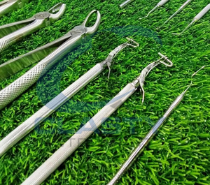 Nuevo Juego de Fórceps Manuales de Acero Inoxidable para Extracción Dental Veterinaria, Certificado CE, Clase I CI-ZS-715 CLASTY INSTRUMENTS - Product Image 5
