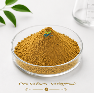 HGO Factory Direct Supply Extrait de thé vert naturel pur (qualité alimentaire) Spécification 90% Polyphénols de thé (extrait standardisé) - Product Image 1