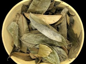 Vietnamese Dried Soursop Leaves Black <b>Tea</b> Organic Health <b>Tea</b> - Product Image 4