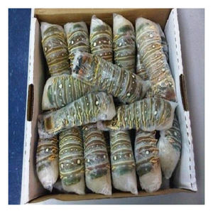 Langosta de alta calidad para pedidos al por mayor, comercio mayorista de mariscos y compradores globales - Product Image 1