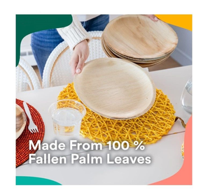 Platos Cuadrados de Hoja de Areca Catechu de 10 Pulgadas, Resistentes al Calor, Compostables, Libres de Químicos, Desechables, para Restaurantes, MÁS VENDIDOS - Product Image 6