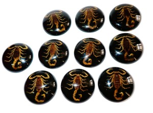 Escorpión Dorado, Espécimen Real, Cabujón de Plástico Redondo de 38x38 mm, Base Plana Negra para Manualidades y Joyería - Product Image 6