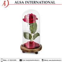 Approvisionnement direct usine, marque privée, dôme en verre transparent de haute qualité, base en bois pour artisanat floral, taille personnalisée, artisanat haut de gamme