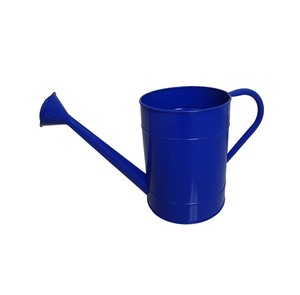 Arrosoir en métal personnalisé fait à la main pour l'arrosage des plantes de jardin intérieures et extérieures - Product Image 1