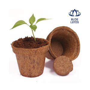Maceta de Fibra de Coco Biodegradable para Agricultura, Vietnam 2026, Suministro al por Mayor - Product Image 1