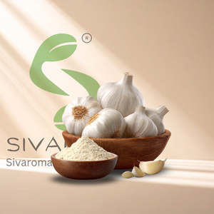 Industrial Grade Garlic Dry <b>Extract</b> for High Volume Food Production, Seasoning Applications and Scalable Culinary Solutions - Product Image 3