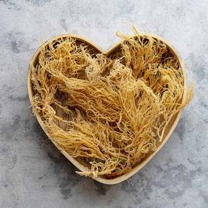 VIETNAM SEAMOSS HIGH QUALITY VIETNAM SEAFOOD PRODUCT GOOD PRICE WHOLESALE VIETNAM MS MARY - Product Image 5