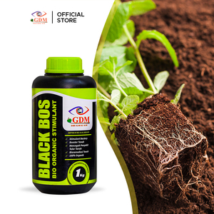Engrais organique bio GDM Black BOS pour l'amélioration de la santé du sol, la stimulation des racines, l'absorption des nutriments et la culture durable des cultures - Product Image 2