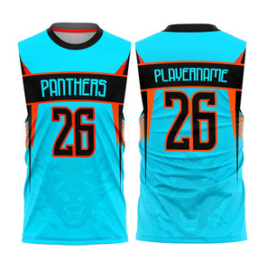 Ensemble de maillots de basket-ball des Panthers, sublimé, séchage rapide, unisexe, pour adultes, toutes saisons, débardeur et short athlétiques, personnalisable avec le nom et le logo de l'équipe - Product Image 3