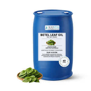 Aceite de Hoja de Betel de Bangladesh Premium, Aceite Esencial de Hoja de Piper betle, Fabricante, Proveedor y Exportador al por Mayor de la India - Product Image 3