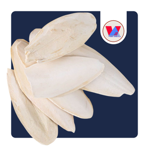 Hueso de Sepia Natural Sin Recortar de 12-15cm, Disponible, para Aparar el Pico de Loros, Fuente de Calcio Natural, Suministros para Mascotas - Product Image 1