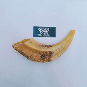 Shofar de Cuerno Raam Natural Hecho a Mano y Pulido para Prácticas Religiosas Ceremonias Espirituales y Sonidos Rituales Tradicionales - Product Image 2