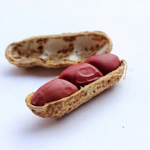 Cacahuetes Orgánicos Crudos con Cáscara, Alta Calidad, Secos, de Brasil, los Más Vendidos al por Mayor, Nueva Cosecha - Product Image 6