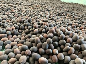 Semillas de Loto Secas de Grado Alimenticio Premium de Confianza, Marca Vietnam Toan Tai Loc Phat, 12 Meses de Duración, Almacenamiento en Seco y Fresco, Global - Product Image 6