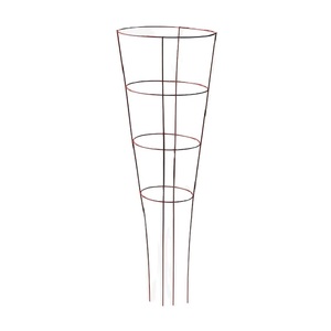 Support de plante en fer forgé tendance, thermolaqué, facile à assembler pour plantes grimpantes, taille et forme personnalisables - Product Image 1