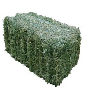 Stock frais de foin d'alfalfa de qualité supérieure pour chevaux et bovins, vente en gros en vrac d'Afrique du Sud - Product Image 5