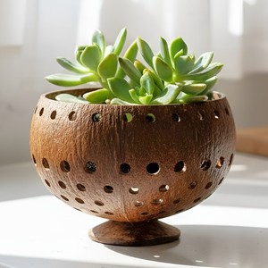 Mini pots à fleurs en coquille de noix de coco, pots à plantes en coco, décoration de jardin inspirée de la nature - Product Image 5