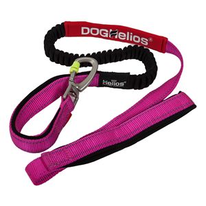 Guinzaglio e Collare per Cani Neo Indistruttibili Sportivi Ricamati, Spessi e Resistenti con Facile Controllo della Tensione per Compagni Canini Attivi - Product Image 3