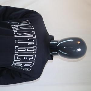 Sudadera PANTHERS con cuello simulado, 450 GSM, nombre personalizado, bordado en aplique, corte holgado, 100% algodón, felpa francesa. - Product Image 1