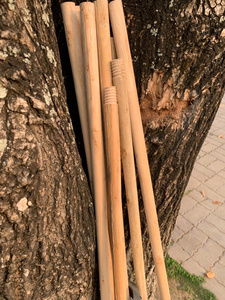 Gran cantidad de palos de madera redondos para la producción agrícola y la fabricación de muebles - Product Image 4