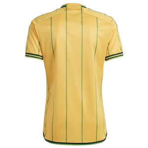 Maillot de football personnalisé par sublimation pour homme, jaune et vert rayé, manches courtes, anti-transpiration, coupe classique adulte - Product Image 2