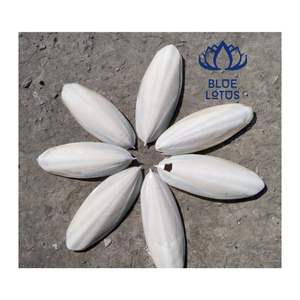 CALIDAD SUPERIOR 2026 Huesos de Sepia: Fuente de Calcio para Aves, para Recortar el Pico y Masticar (para Mascotas) - Product Image 1