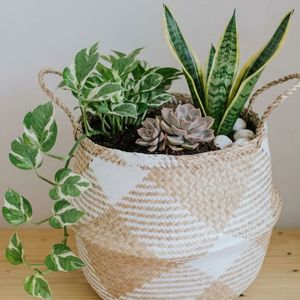 Vietnam Belly <b>Basket</b> Seagrass Handmade Woven Storage <b>Basket</b> for Home Organization Wholesale Supplier OEM Manufacturer - Product Image 5