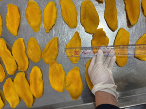 Tranches de mangue séchées naturelles et biologiques de haute qualité, fraîches, provenant de ferme, du Vietnam, fruits tropicaux, 12 % d'humidité, pour l'exportation en gros - Product Image 5