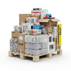 Paletas de Liquidación, Mercancía Mixta al por Mayor, Electrónica, Artículos para el Hogar, Herramientas, Ropa, Accesorios, Reventa, Exportación, Compradores - Product Image 2