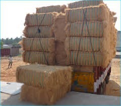 Fibre de coco avec une forte capacité d'absorption d'eau et des propriétés ignifuges pour la conception de brosses à matelas en corde et d'articles de rembourrage. - Product Image 6