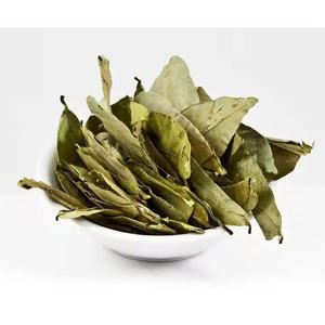Vietnam Origin Dried Soursop Leaves _ Premium Bulk Export Supply - Product Image 5