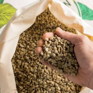 เมล็ดกาแฟโรบัสต้าเวียดนามราคาถูก ขายส่ง – เมล็ดกาแฟดิบธรรมชาติแบบไม่ผ่านการคั่ว จำหน่ายจำนวนมาก รับผลิตแบบ OEM ODM ส่งออก มีความชื้นต่ำกว่า 12% - Product Image 1