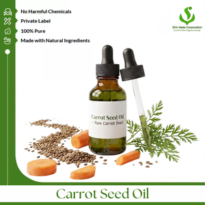 Carrot Seed Oil Wholesale Manufacturer Offering High Quality Essential Oil with Export Packaging for Cosmetics <b>Personal</b> - Product Image 1