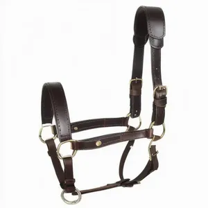 High Quality Handmade Polo Leather Horse Halter English Saddle Style Show All-Purpose Use Customizable Brass Hardware Customized - Product Image 2