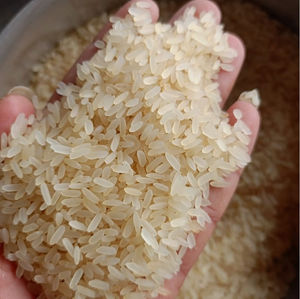 ข้าวหอมมะลิ IR64 พรีเมียม แบบพาร์บอยล์ เมล็ดยาว |   สินค้าคุณภาพสูงสำหรับการส่งออกจำนวนมาก |   สะอาด มีคุณค่าทางโภชนาการ และมีกลิ่นหอม ราคาพิเศษ - Product Image 2