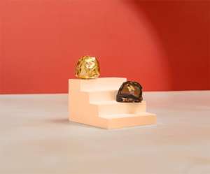 Chocolate Negro con Anacardos LEGENDARY CHOCOLATIER de Primera Calidad, Hecho en Vietnam, 180g, Servicio OEM ODM para Regalos - Product Image 4