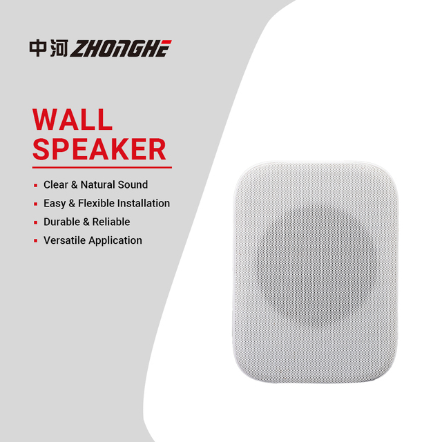 Customizable Waterproof Wall Mounted PA Speaker System for Indoor Outdoor Commercial Audio Solution