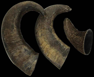 Natural Buffalo Horn Dog Chew Toy – Handmade Eco-Friendly Organic Pet Chew in Unique Animal & Angel Designs - Product Image 6
