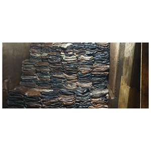 Peaux de vache salées sèches de qualité export pour le tannage et les usines de maroquinerie - Product Image 5