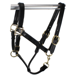 Collier de tête pour cheval de style anglais traditionnel haut de gamme, personnalisable en couleur et logo, design durable et confortable pour l'entraînement quotidien - Product Image 2