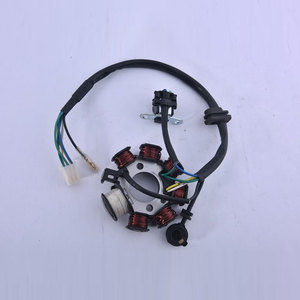 อุปกรณ์เสริมรถจักรยานยนต์คุณภาพสูง คอยล์แม่เหล็กแกนกลาง สำหรับรถจักรยานยนต์ 100 ซีซี คอยล์แม่เหล็กประสิทธิภาพสูง - Product Image 6