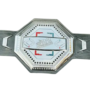 Ceinture de champion personnalisée We Are All Fighters, ceinture de sport de combat personnalisée de haute qualité - Product Image 2