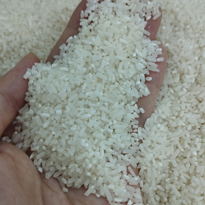 ข้าวเมล็ดสั้นคุณภาพพรีเมียม ขายส่งราคาพิเศษ พร้อมส่งออกทั่วโลก - Product Image 6