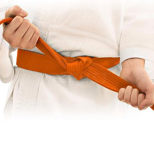 Ceinture de Taekwondo - Douce et confortable, légère, en coton, pour l'entraînement actif, tailles et couleurs personnalisables - Product Image 3