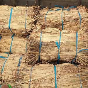 Proveedor de Fábrica en Vietnam de Fibra de Jacinto de Agua Cruda, Material Natural para Cestería, Exportación a Granel - Product Image 1