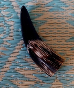 Shofars authentiques faits à la main en corne de buffle et de bélier naturels, polis, pour la maison ou usage religieux - Product Image 4