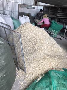 Quelle est cette peau de poisson séchée du Vietnam qui fait tellement sensation // Lily - Product Image 5