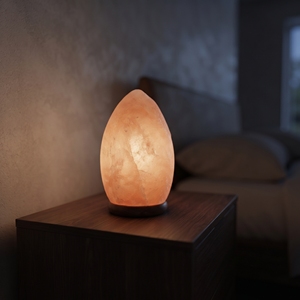 Lampe en cristal de sel de l'Himalaya en forme d'œuf faite à la main, lumière de nuit chaude, décoration naturelle pour la maison, lampe de table - Product Image 2