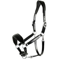 Harnais de Selle Premium pour Cheval – Confortable, Demi-Enfourche en Polaire, Acier Inoxydable, Corde en Nylon, Style Selle, Logo Personnalisé