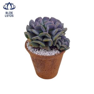 Pot de démarrage écologique en fibre de coco biodégradable de qualité supérieure, disponible en gros, avec trou de drainage, produit phare - Product Image 1